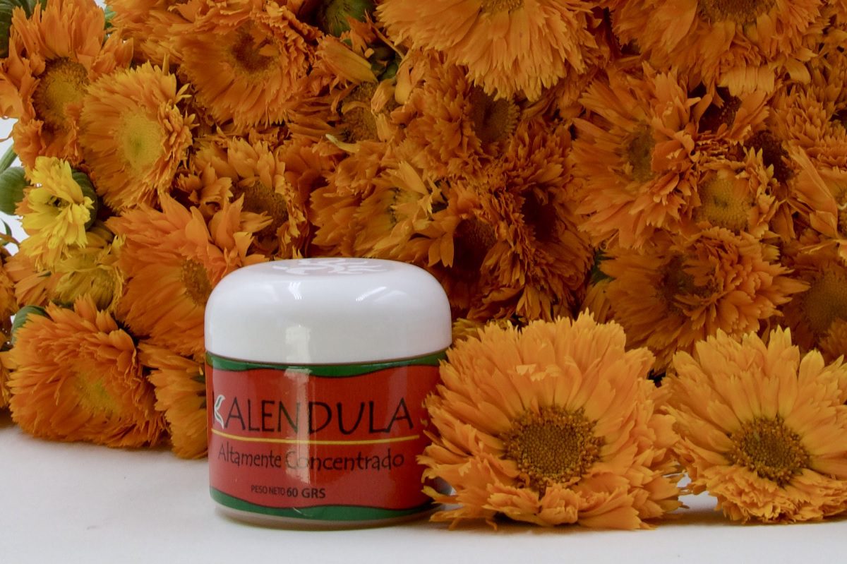 Calendula
