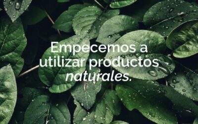 Beneficios de usar productos naturales
