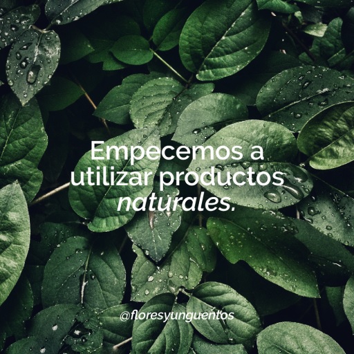 Beneficios de usar productos naturales