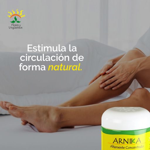 Circulacion de la Piel