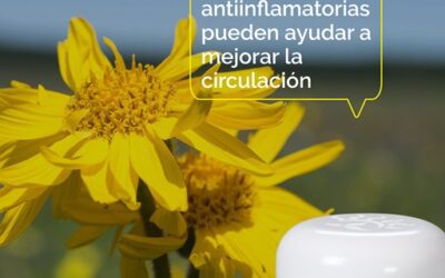 Mejora la circulacion con Arnica