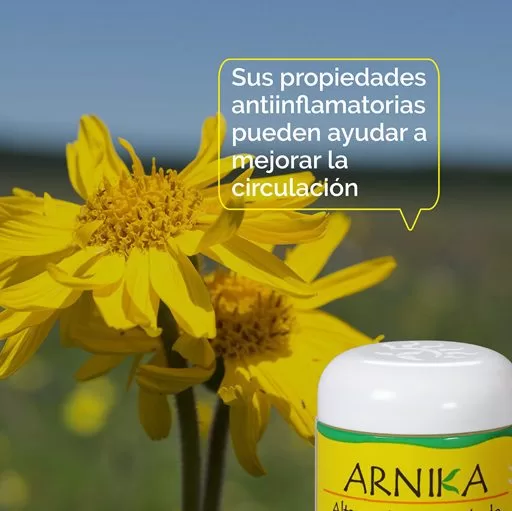 Mejora la circulacion con Arnica