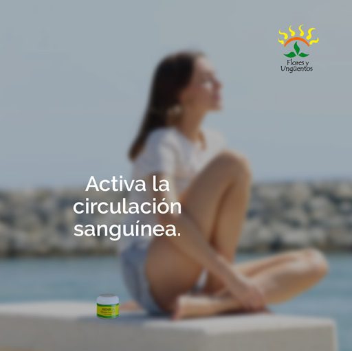 circulacion sanguinea