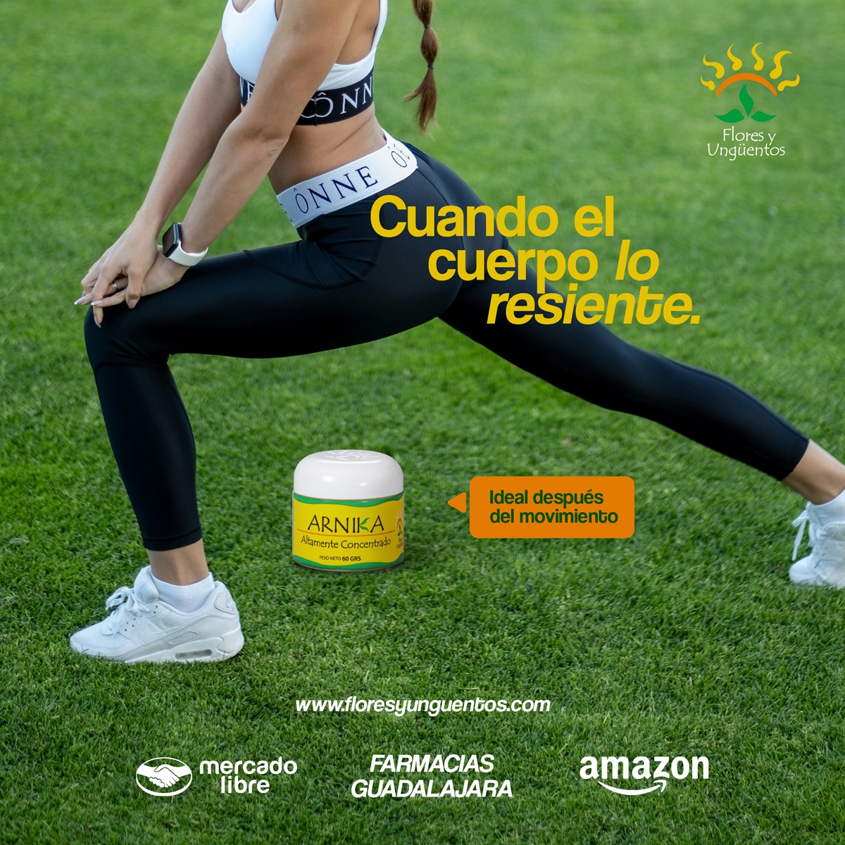 Arnika Puntos de venta mercado libre