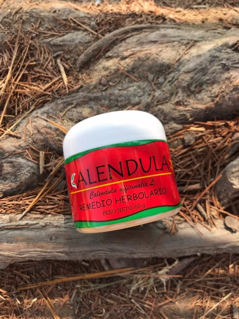 KALENDULA KALENDULA