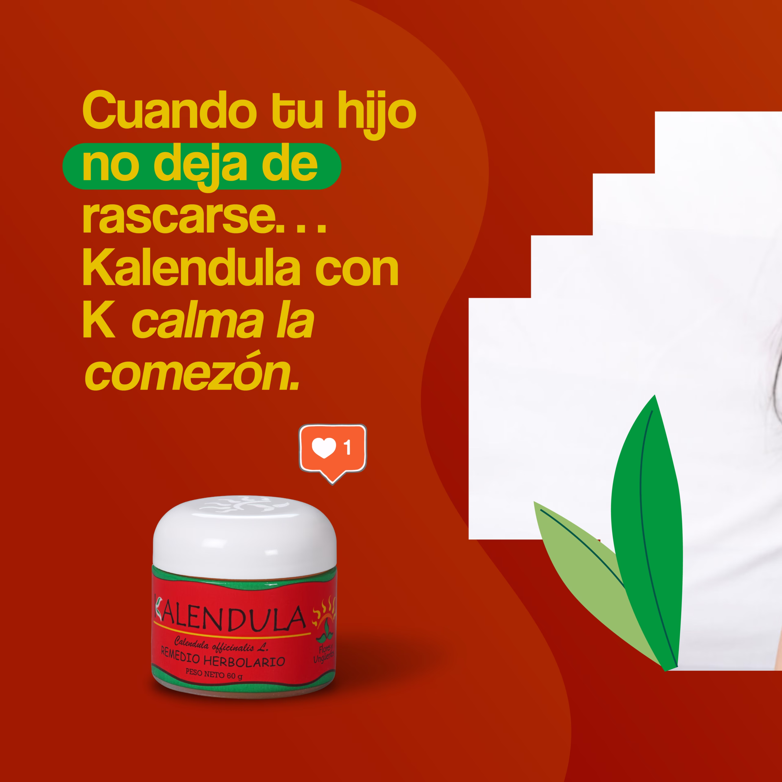 KALENDULA COMEZON KALENDULA COMEZON